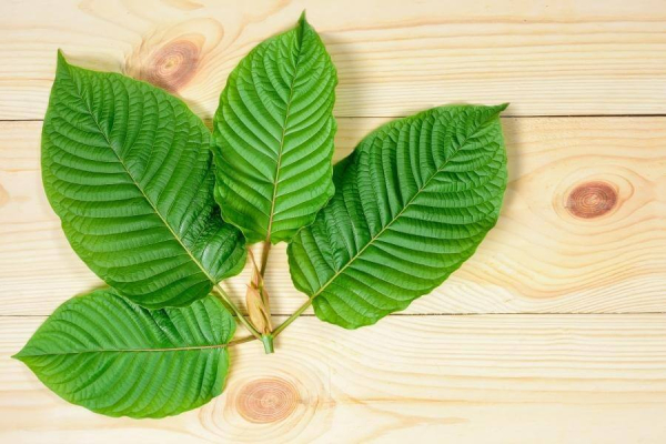 Top 10 Kratom Alternatives