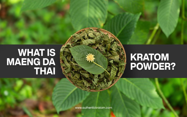 What is Maeng Da Thai Kratom?