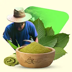 Maeng Da Kratom