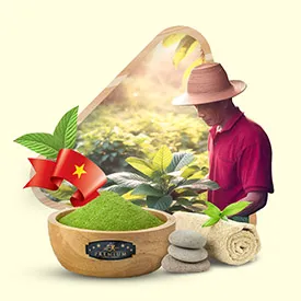 Vietnam Kratom