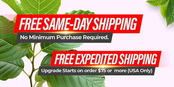 FREE Shipping Deals